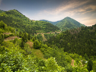 Nature in the Black Sea region. Near Camili Village. Borcka - Artvin -Turkey