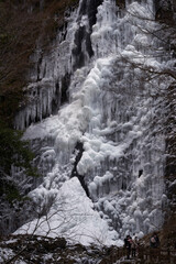 Fototapeta na wymiar 凍結してツララのできた美しい滝。愛媛県東温市にある白猪の滝の氷瀑。