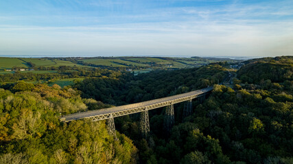 Bridge over forest