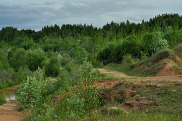Nature is the material world of the universe, in fact - the main object of the study of natural...