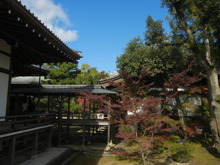 Connecting corridors and autumn leaves in the precincts of Daikaku-ji Temple at Saga in Kyoto City in Japan 日本の京都市嵯峨にある大覚寺境内の渡り廊下と紅葉