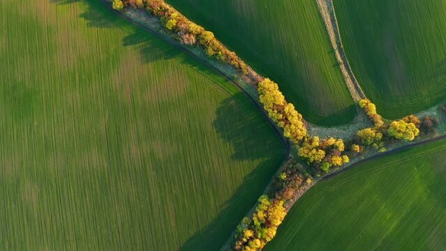Gorgeous footage of a green undulating field of agricultural land. Filmed in UHD 4k video.