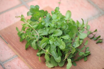 fresh herbs on a table