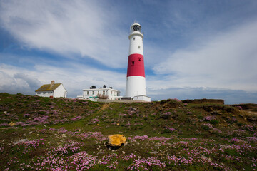 lighthouse on the coast Portland Bill, Dorset