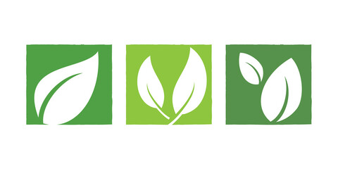 Set of green leaf icon over white background. Vector illustration.