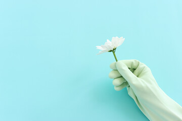 Spring cleaning concept with glove holding a flower over pastel blue background