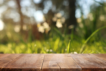 Empty rustic table in front of countryside background. product display and picnic concept