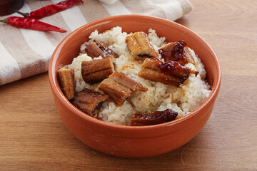 Roasred eel with steamed rice