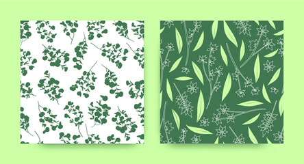 Seamless Eucalyptus Pattern. Tropical Flower Border. Summer Textile Design. Floral Pattern. Vector Fern Trees. Fashion Botanic Texture. Cute Foliage Print. Exotic Floral Pattern.