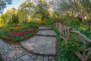 Shakespeare Garden in Central Park in early spring with tulips