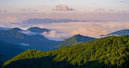 Fototapeta premium Great Smoky Mountains National Park