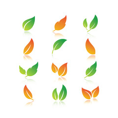 Set of nature leaf icon with shadow effect.