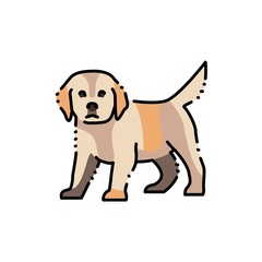 Standing golden retriever puppy color line icon. Pictogram for web page