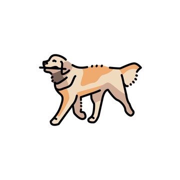Golder retriever carries a stick color line icon. Pictogram for web page
