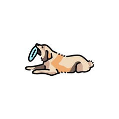 Golder retriever lying and holding frisbee color line icon. Pictogram for web page