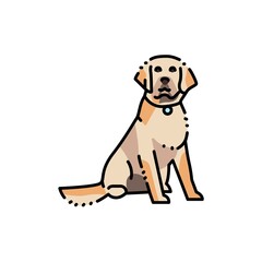 Sitting golden retriever adult color line icon. Pictogram for web page