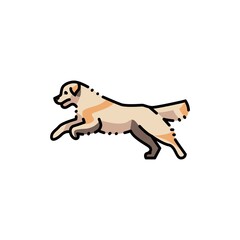 Golder retriever jumping color line icon. Pictogram for web page