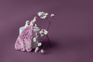 Facial massage jade gouache scraper with plant on purple paper background.