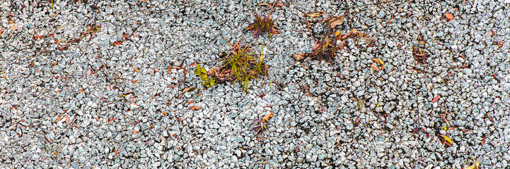White stones with grass.