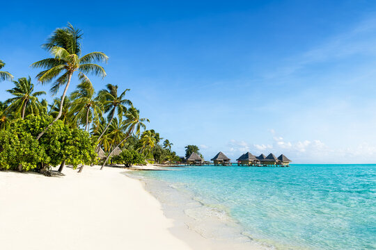 Summer vacation on the beach, Bora Bora, French Polynesia