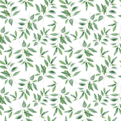 Watercolor seamless pattern with greenery on whitebackground 