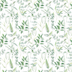 Watercolor seamless pattern with eucalyptus branches on white background 