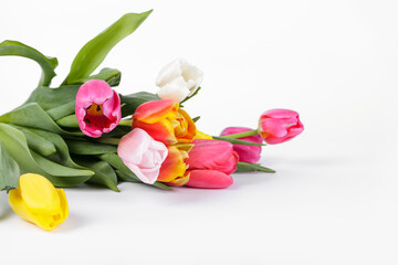 Obraz premium Beautiful, spring tulips on white background