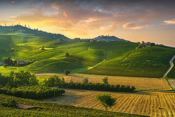 Obraz premium Langhe vineyards view, Barolo and La Morra, Piedmont, Italy Europe.