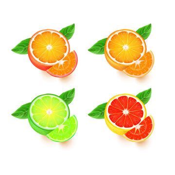Citrus fruits halves and quarter wedges 4 realistic icons square with orange grapefruit lemon isolat Vector