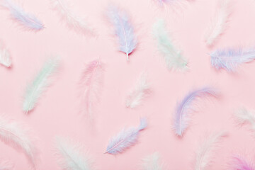 Fototapeta na wymiar Close up to bright colorful feathers background. Colored feather background, top view