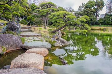 Fototapeta na wymiar Small pine ( niwaki) very inclined towards the water in Kiyosumi Teien in Tokyo. Garden found by Iwasaki Yataro, head of Mitsubishi in the 19th century.
