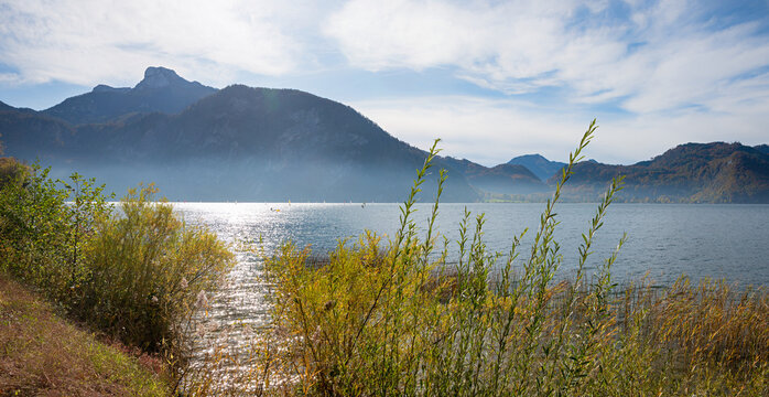 pictorial lake mondsee, shore with reed grass, austrian mountain landscape