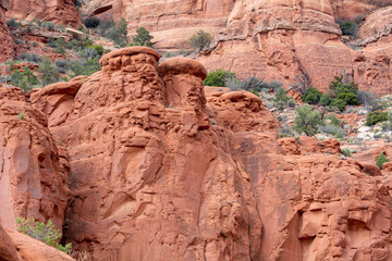 The Red Rock Cliffs of Arizona
