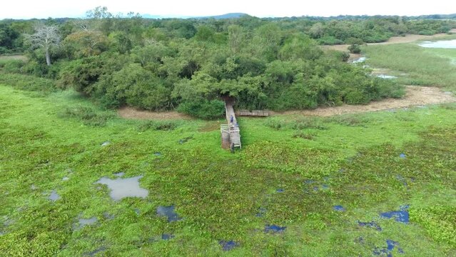 Cienaga de las Macanas