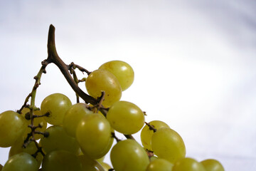 Green grapes on white background.