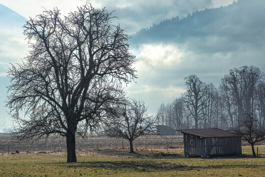 Rural landscape scenery near Bad Feilnbach, bavaria, in late winter