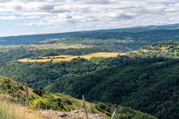 Fototapeta na wymiar Panorama de monts d'Auvergne avec ses belles forets et ses champs jaunes par une belle journée d'été