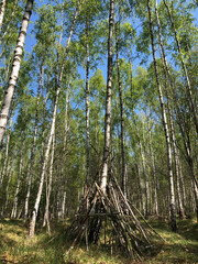 Karlshorst, Lichtenberg, Berlin, Wald, Forst, Waldweg, Prinzenviertel, Zelt, Tippi,