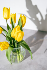 bouquet of tulips in a vase