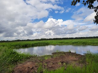 Blue cloudy sky over the green field, green landscape with blue sky.