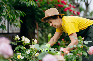 Senior woman gardener in a hat working in her yard with work tools. The concept of gardening, growing and caring for flowers and plants.