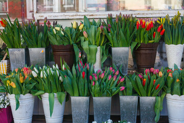Colorful tulips stacked in rows at a market stall - obrazy, fototapety, plakaty