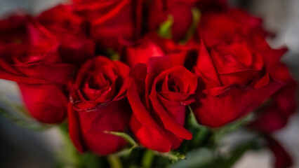 Red Roses