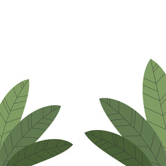 Green leaf frame, leaves background wallpaper, tropical leaves isolated on white background. Illustration for design wedding invitation.