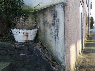 Alte weiße Blechwanne als Pflanzschale neben einem alten Treppenaufgang aus Bruchstein und...