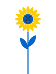 Sunflower flower isolated on white background. The symbol of Ukraine in the national colors of yellow and blue. 