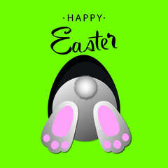 Easter egg with rabbit of vector illustration