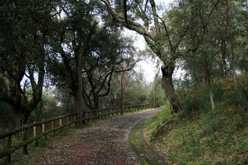 Fototapeta na wymiar Monte Picoto Park - Braga, Portugal
