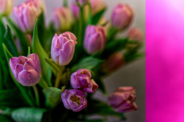 Życzenia na kartce  różowymi tulipanami