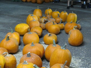 Halloween pumpkins. Autumn. Fall.